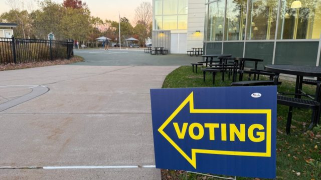August Primaries Approved: A Vital Step for Voter Engagement