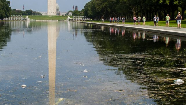 Reflecting Pool Controversy: Vandalism or Mismanagement? | rtp gacor 889, maimun88
