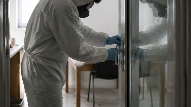 Impact of Hantavirus Quarantine: Insights from Recent Cases | splitting in blackjack, n2live casino,