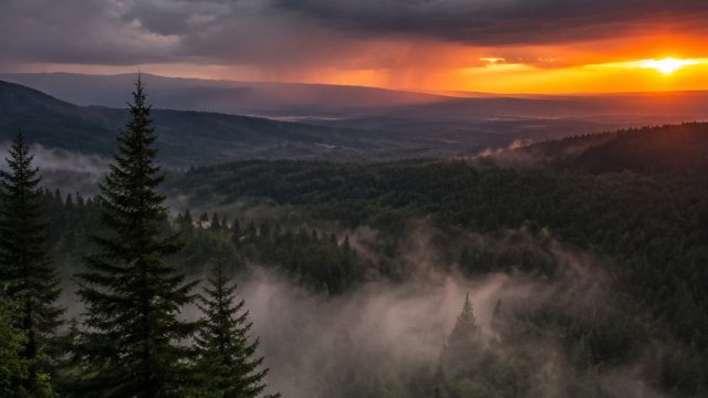 Unprecedented El Niño Conditions Loom Over the Northwest | kur bri 2022 jaminan bpkb motor, rtp sens
