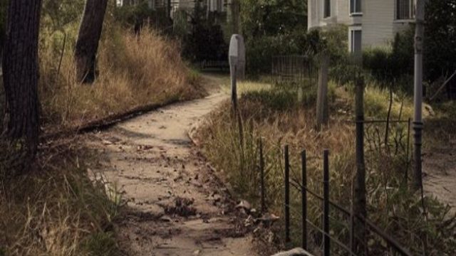 Tragic Discovery: Body Found Near Walking Path in Pennsylvania | royal 77 slot, slot key4d